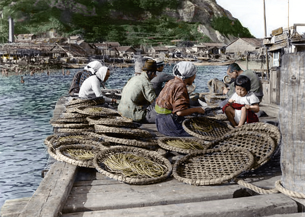 ����̏C�������