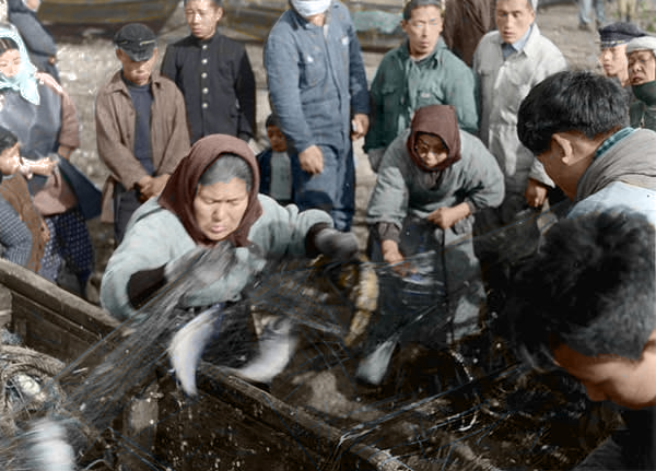 �����̃I�i�S�V��