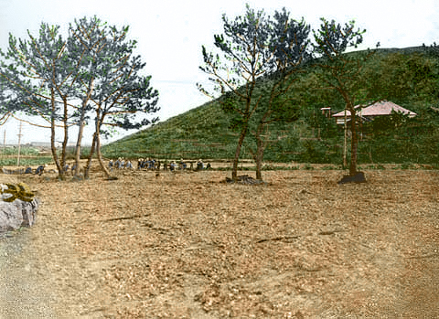 �Y������